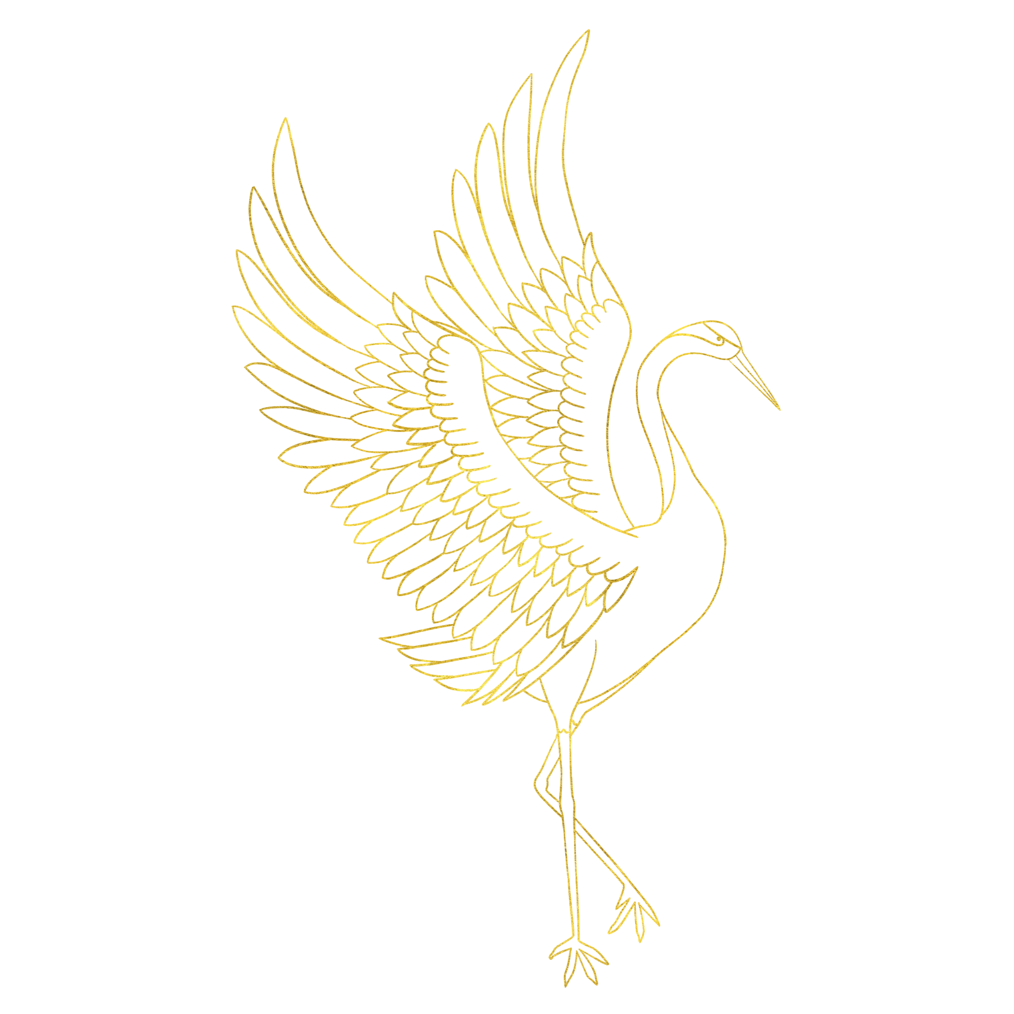 国潮丹顶鹤壁纸制作步骤!