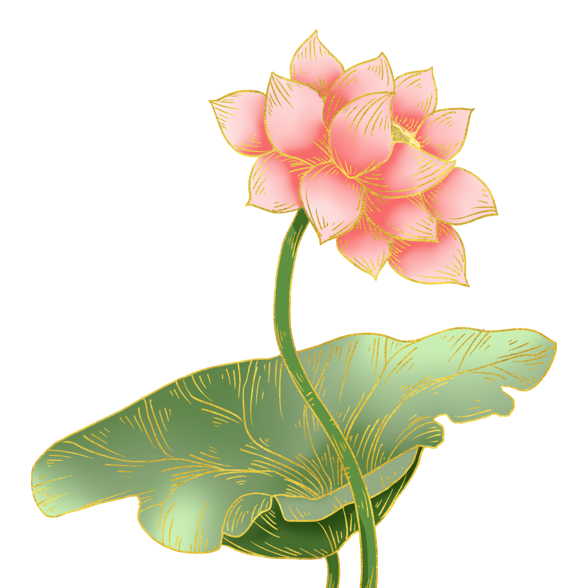 国潮荷花插画创作方法！快速制作技巧！