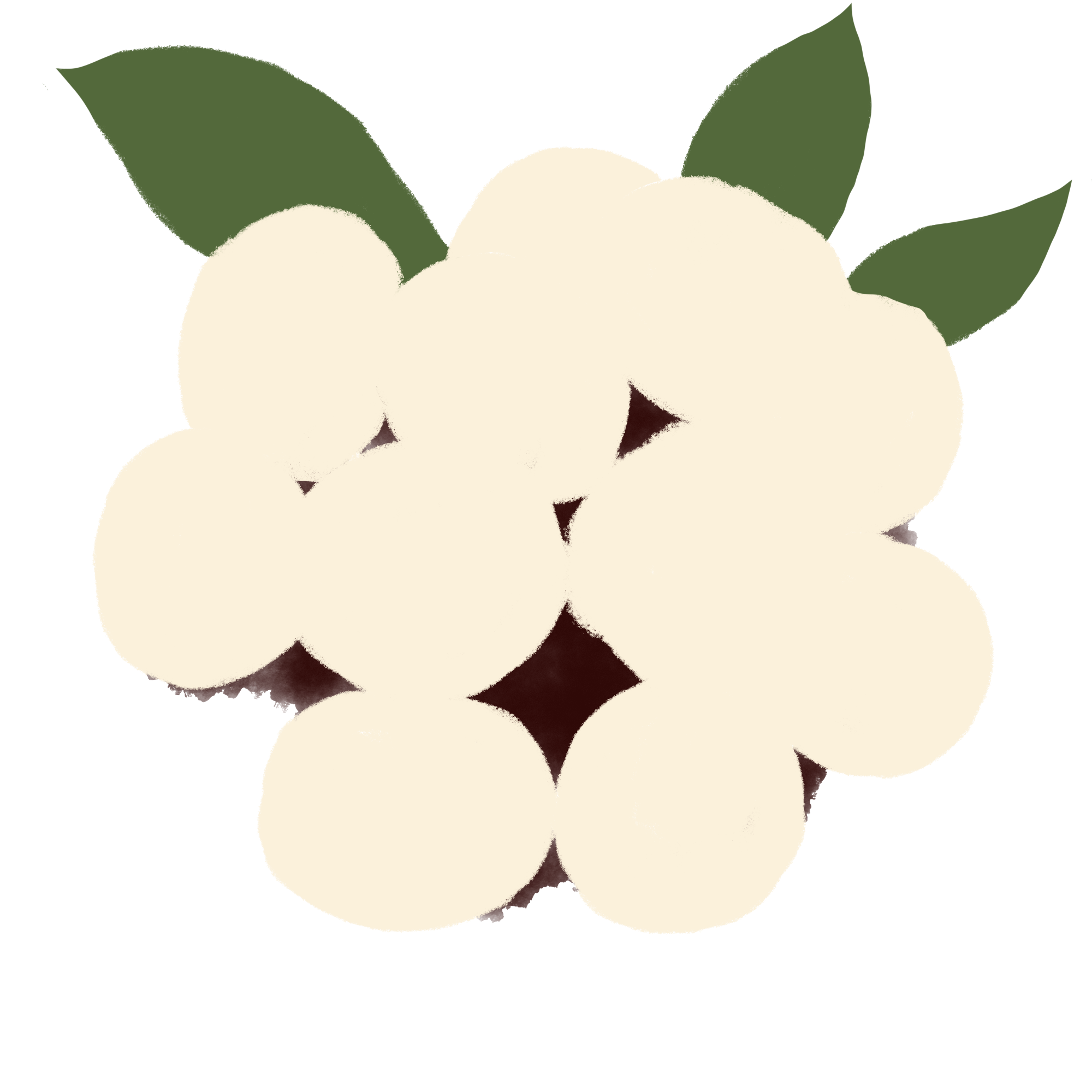 冬枣图片素材高清制作技巧！