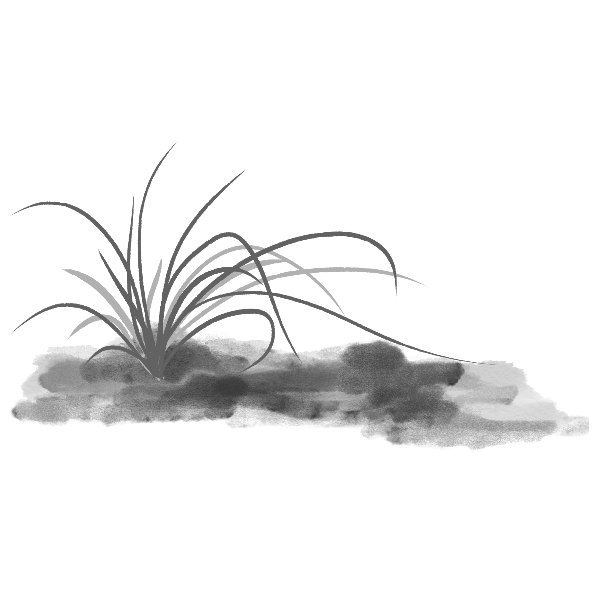 兰花图片素材高清怎样画?