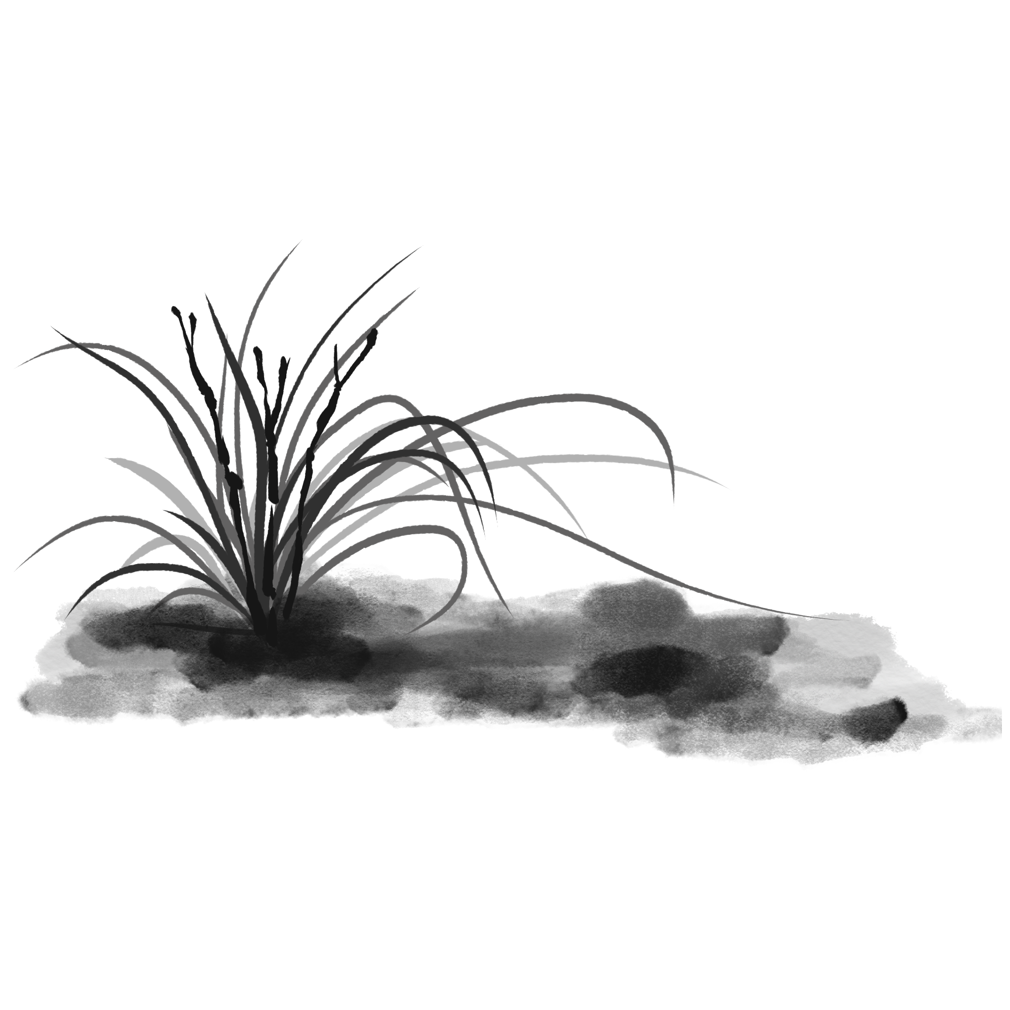 兰花图片素材高清怎样画?