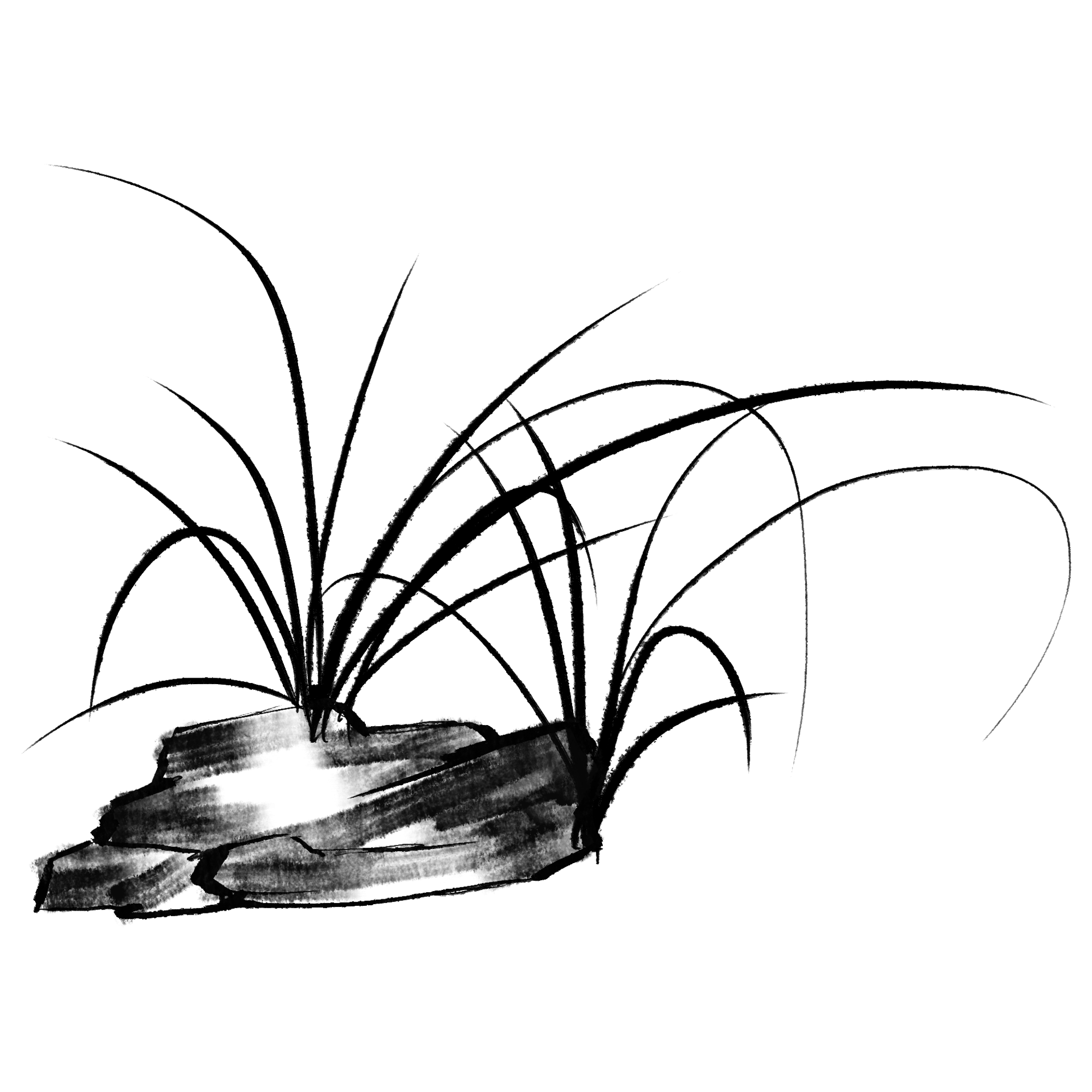 兰花图片插画简单怎么画？