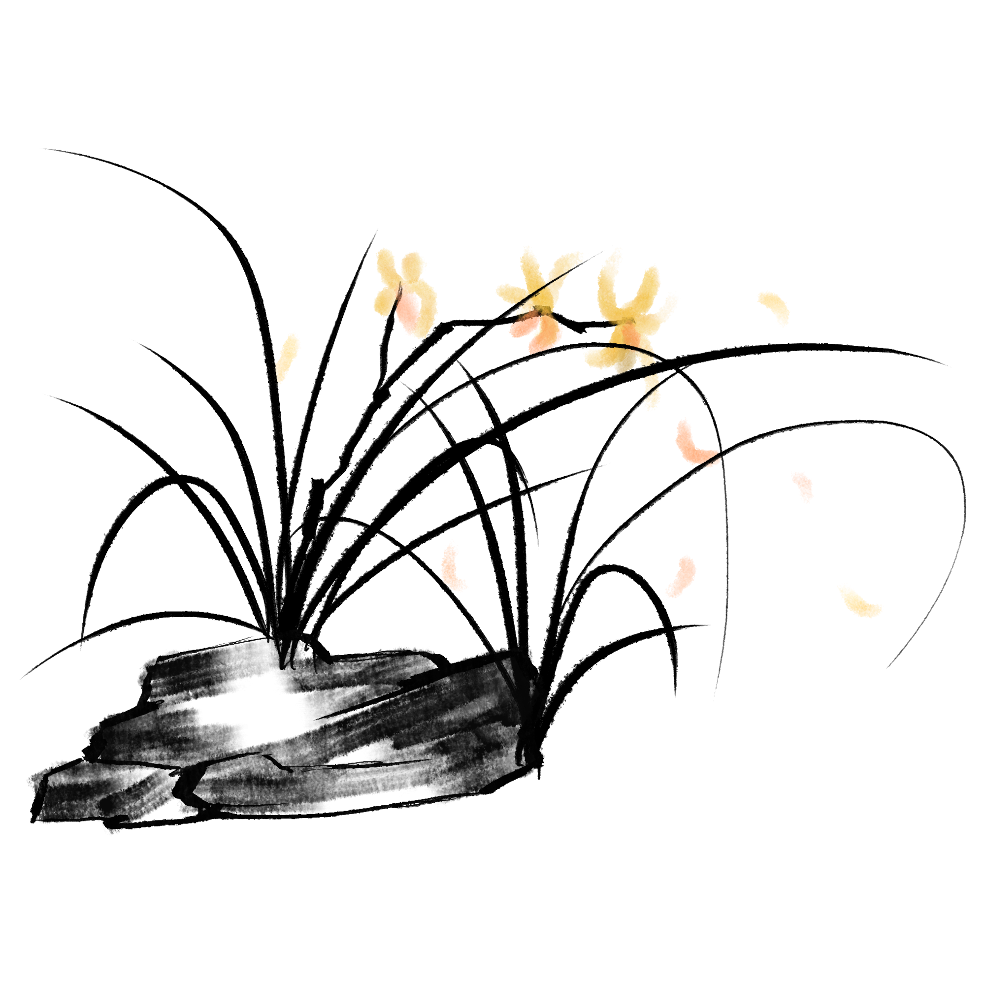兰花图片插画简单怎么画？