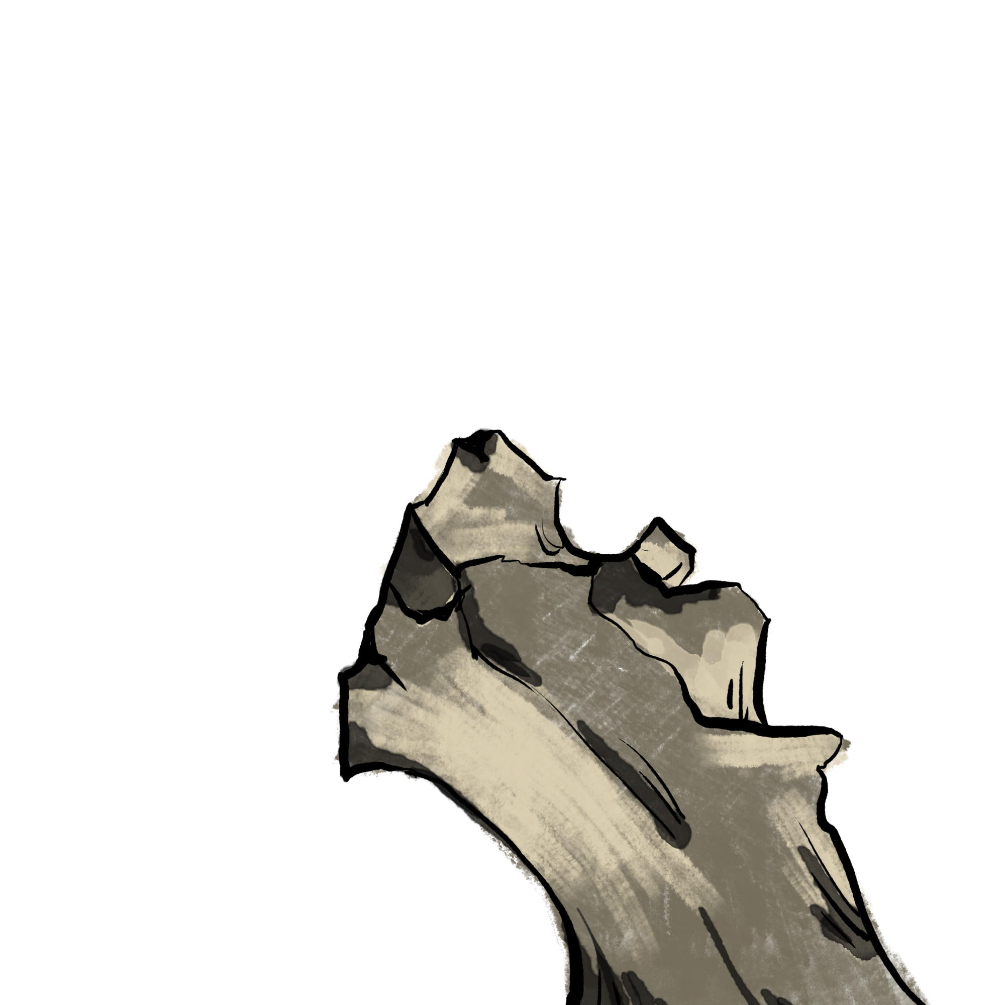 石头竹子图片素材大全如何画？