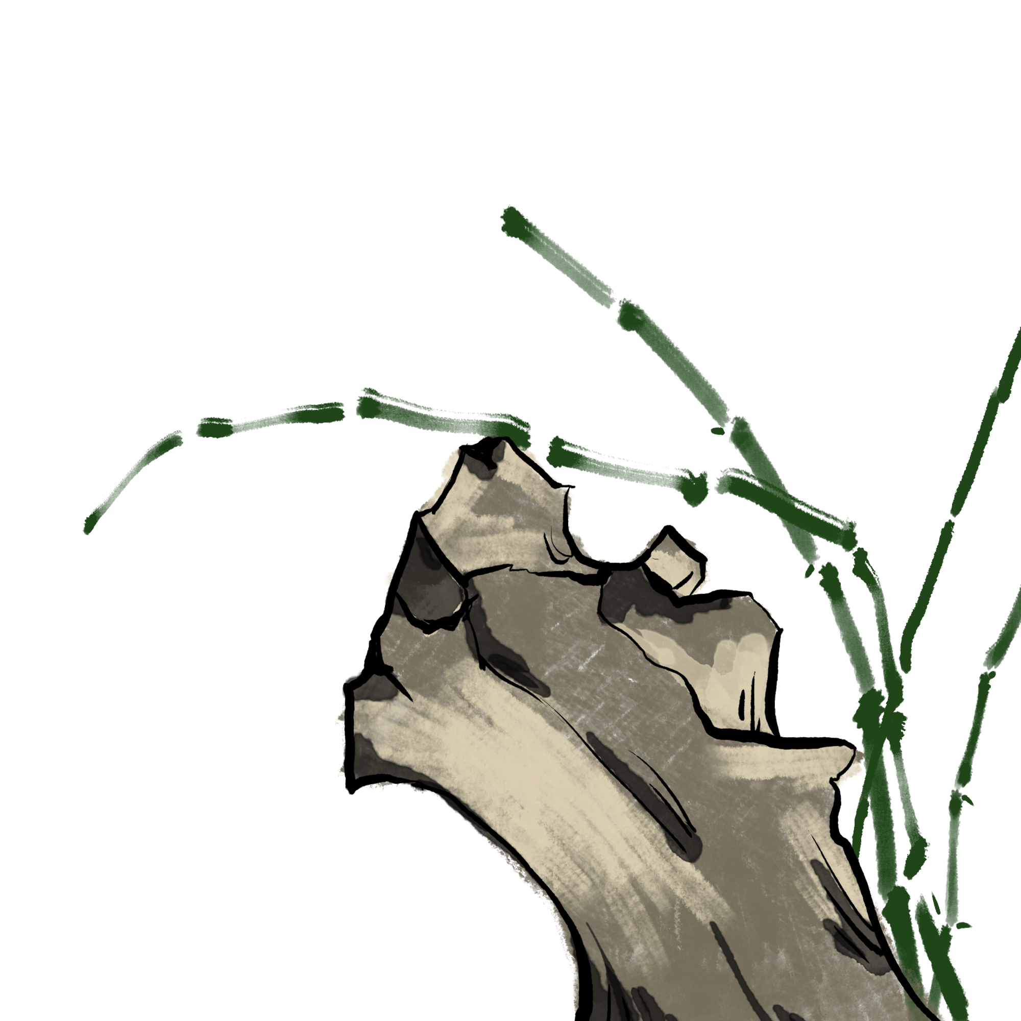 石头竹子图片素材大全如何画？