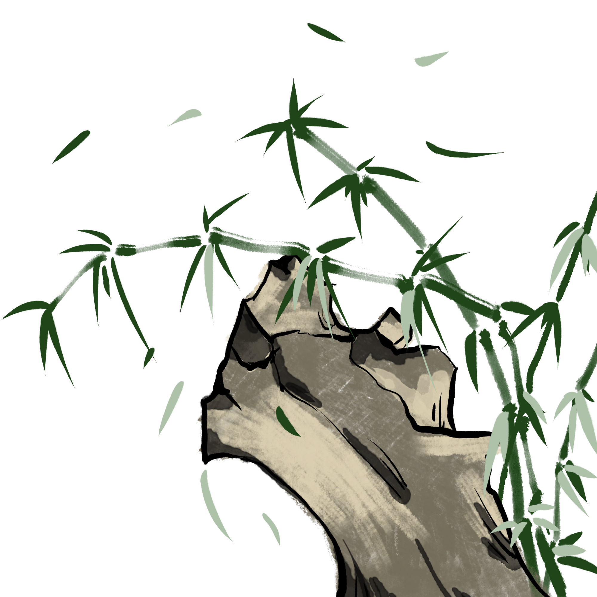 石头竹子图片素材大全如何画？