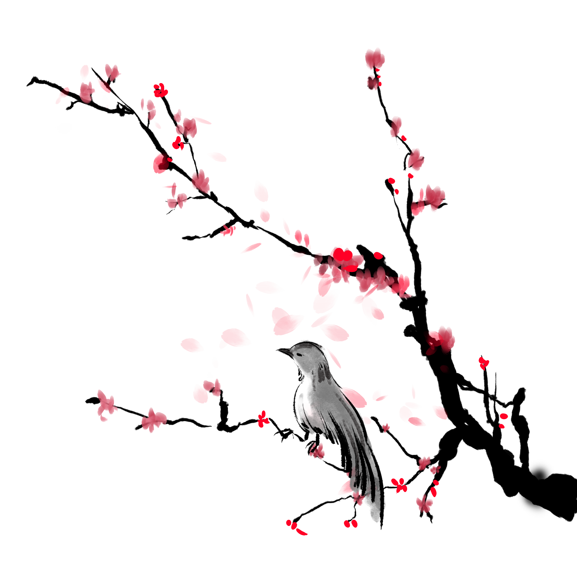 梅花图片绘画图片怎样画？