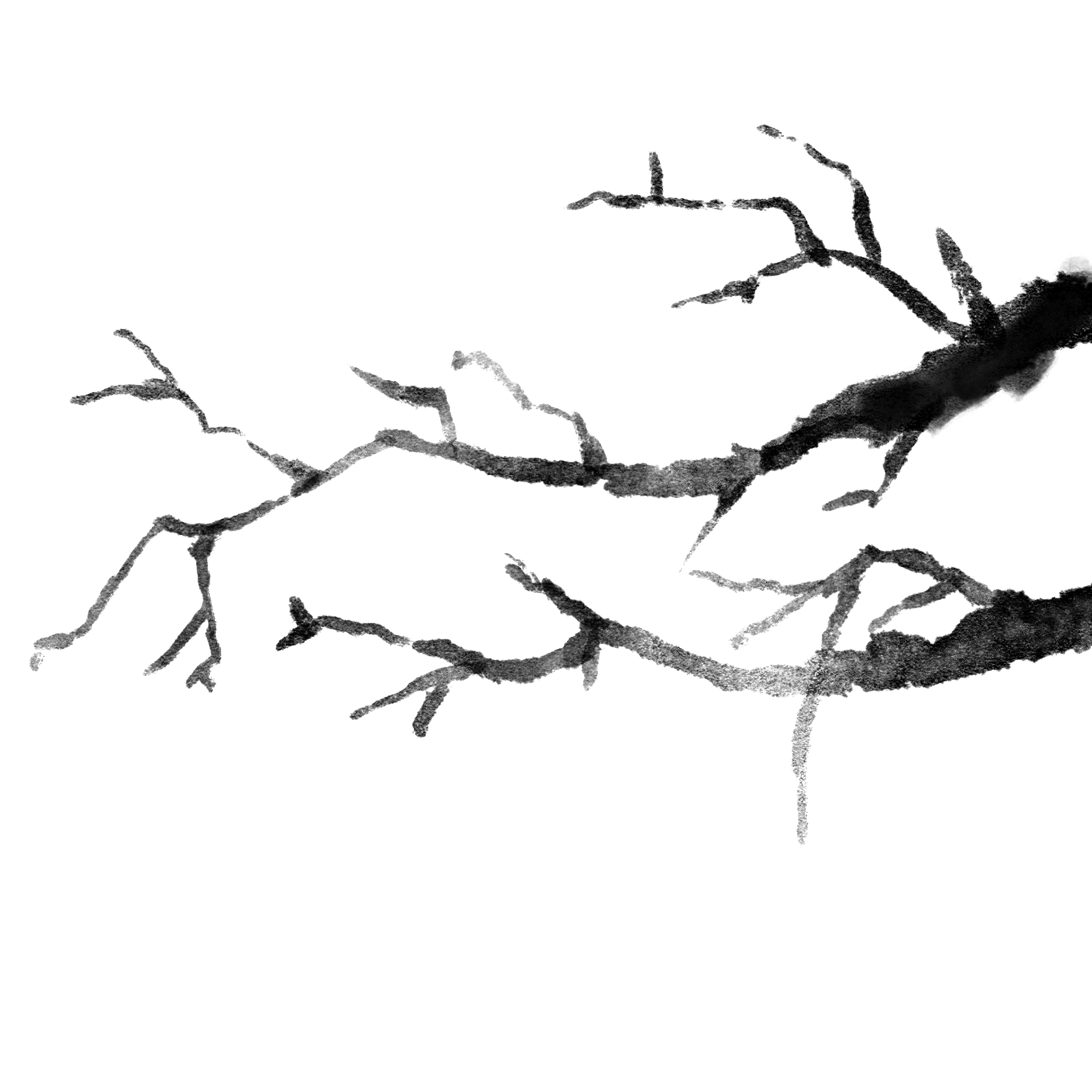 梅花图片绘画图片怎样画？