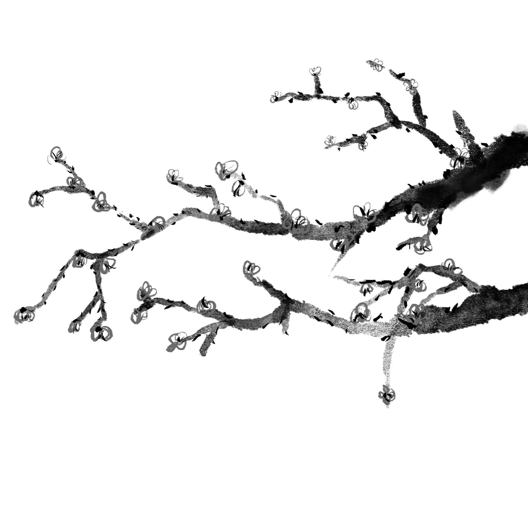 梅花图片绘画图片怎样画？