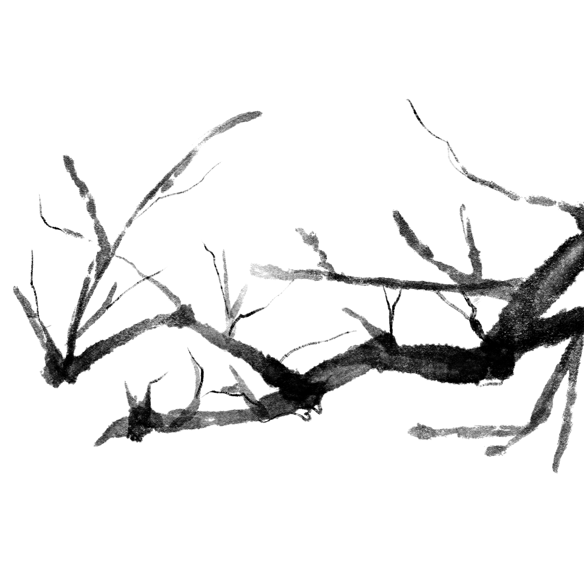 梅花图片插画大全如何绘制?