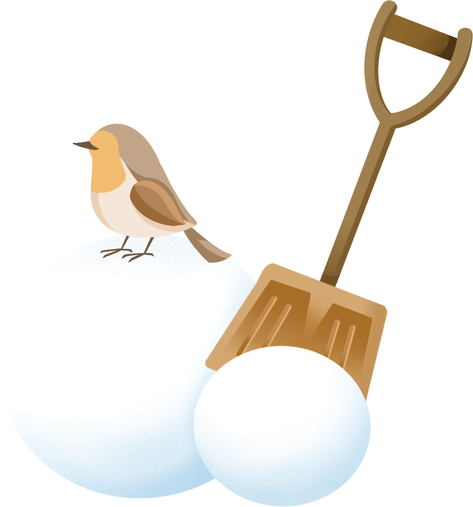 雪球小鸟图片素材高清如何绘制?