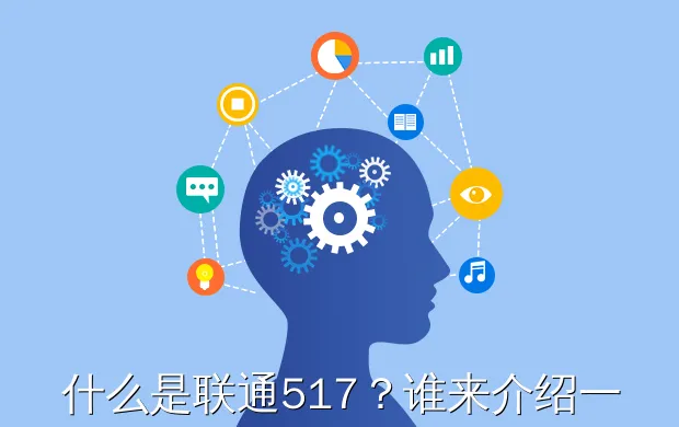 什么是联通517?谁来介绍一下?