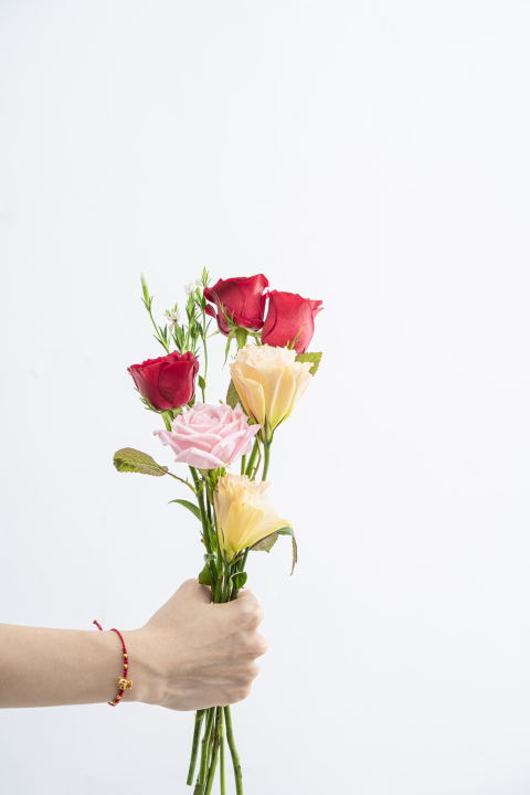 鲜花手持红玫瑰洋桔梗花朵竖图版权图片下载