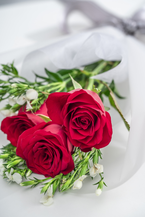 近景特写红色玫瑰花花束竖图版权图片下载