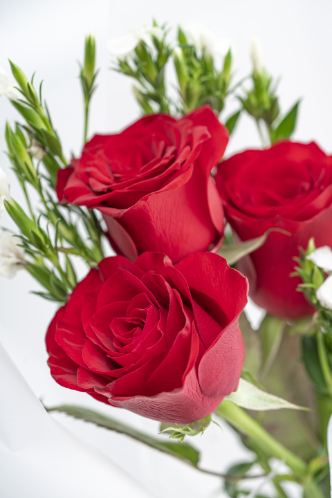 三朵红色玫瑰花花束特写竖图版权图片下载