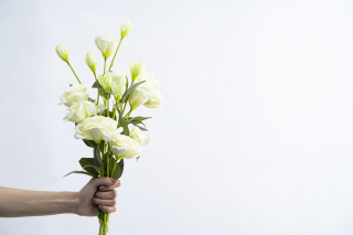 简约纯洁手持洋桔梗花横图