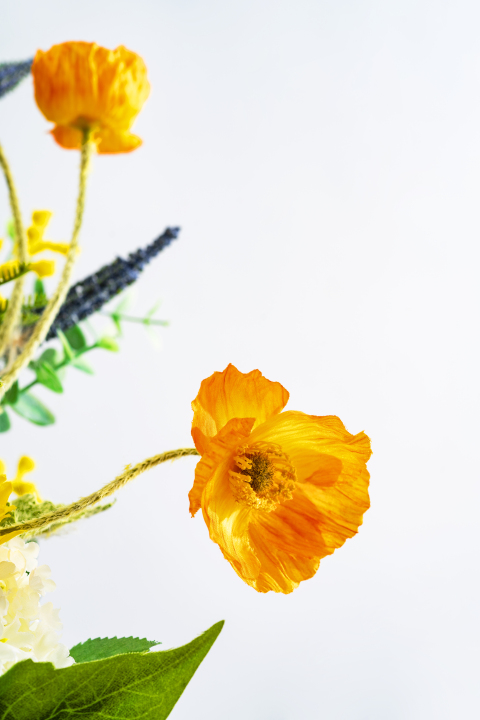 橙黄色虞美人鲜花花朵特写竖图版权图片下载