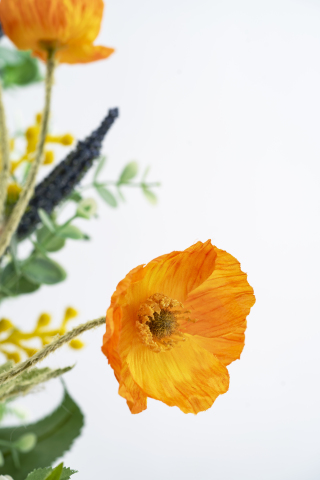 虞美人橙黄色鲜花特写竖图