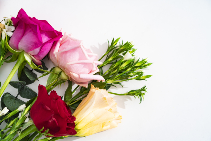 粉红色玫瑰花和黄色洋桔梗横图版权图片下载