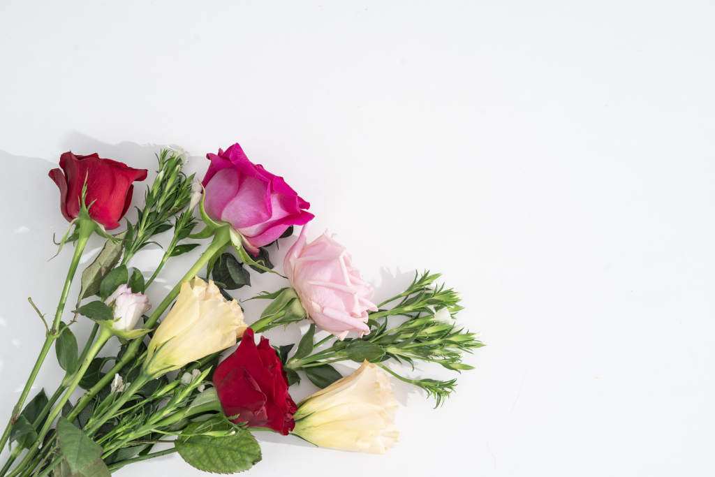 粉红色玫瑰花洋桔梗叶子横图版权图片下载