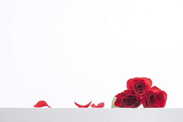 红色玫瑰花鲜花花瓣横图版权图片下载