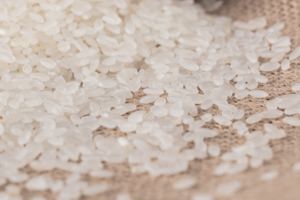  当季有机大米放心香米版权图片下载