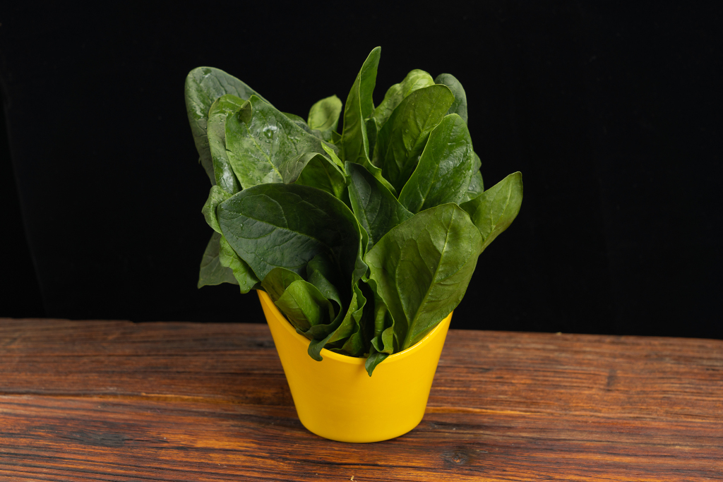 菠菜火锅伴侣版权图片下载