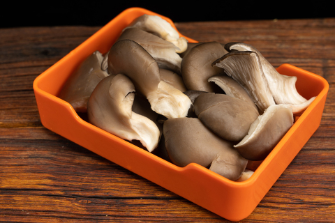 火锅配菜蘑菇