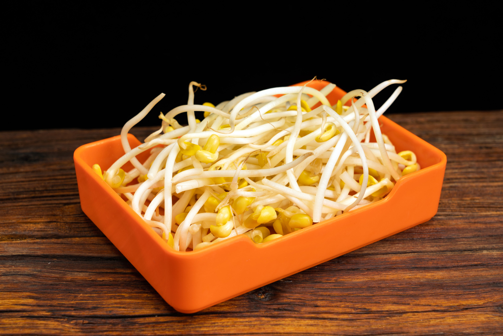 黄豆芽火锅配菜版权图片下载
