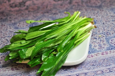 翠绿新鲜油麦菜