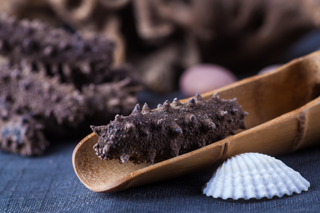 容器里的海参近景图版权图片下载