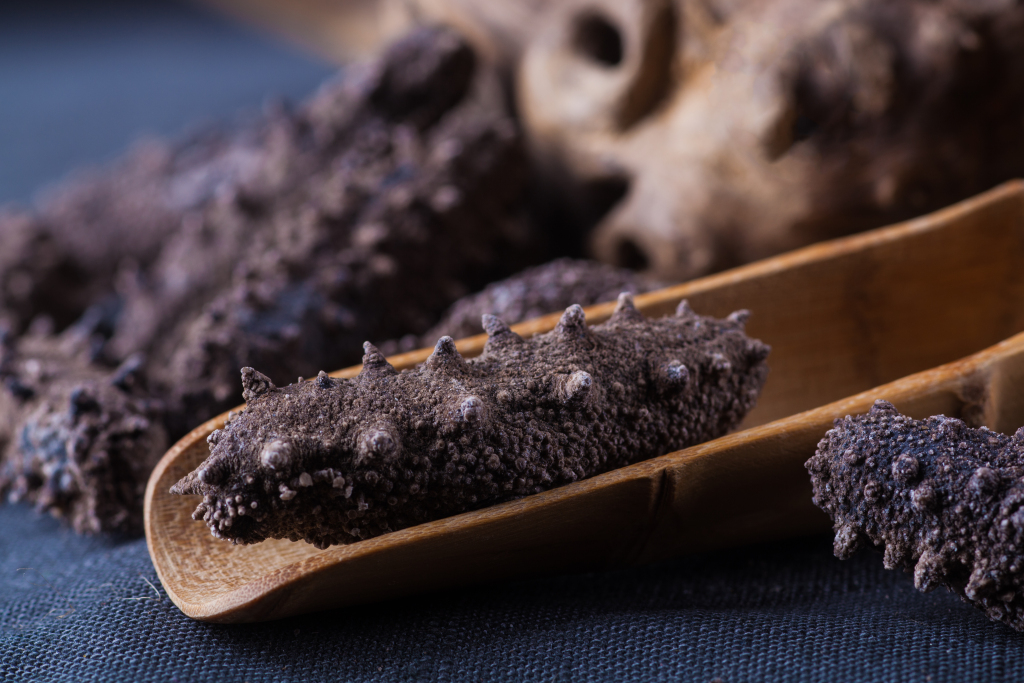 美食干海参特写版权图片下载