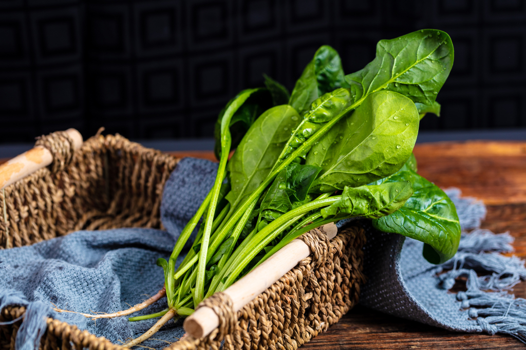 一颗绿色有机菠菜版权图片下载