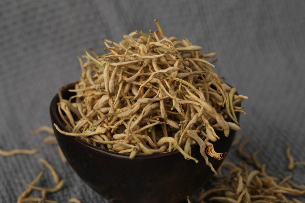 中药材金银花版权图片下载