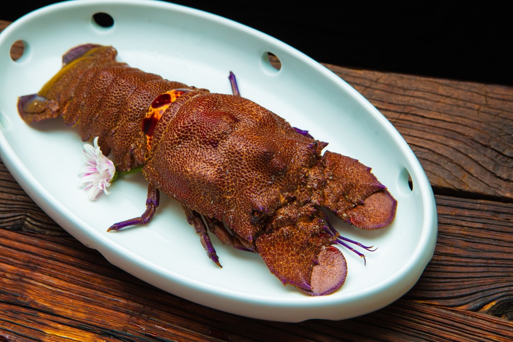 清蒸澳龙高清图版权图片下载