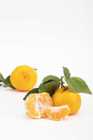 当季新鲜爆甜沃柑