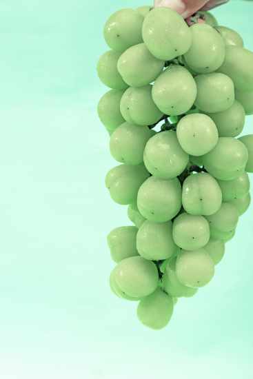 手提一整串新鲜青提