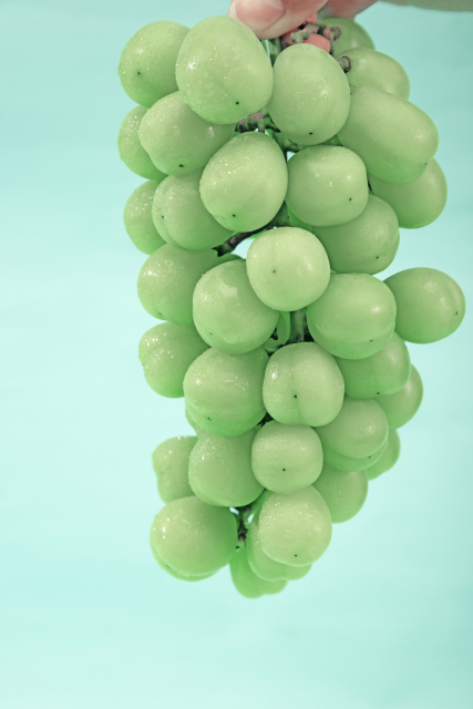 手提整串饱满青提