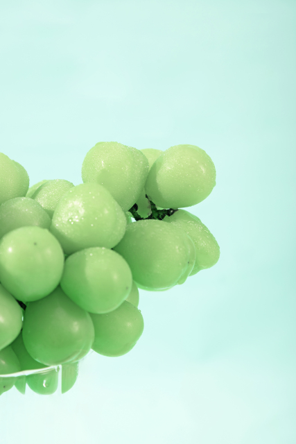 新鲜大果青提特写