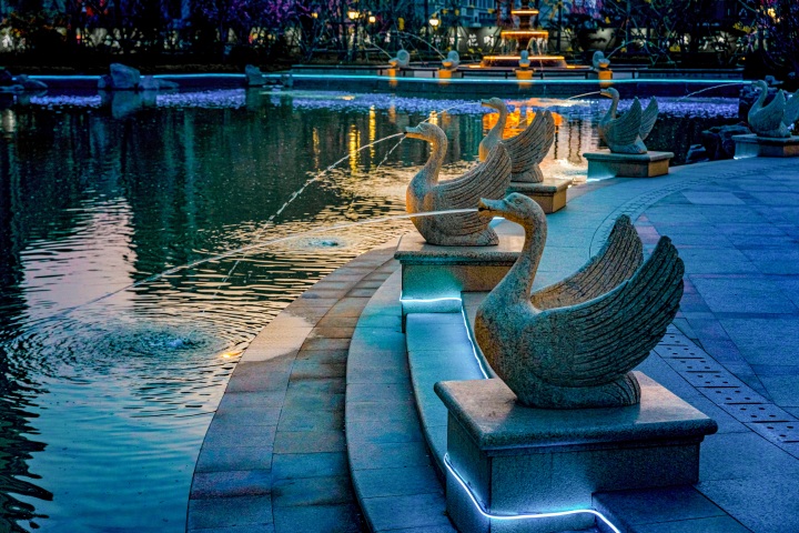 夜景天鹅喷泉湖心广场图版权图片下载