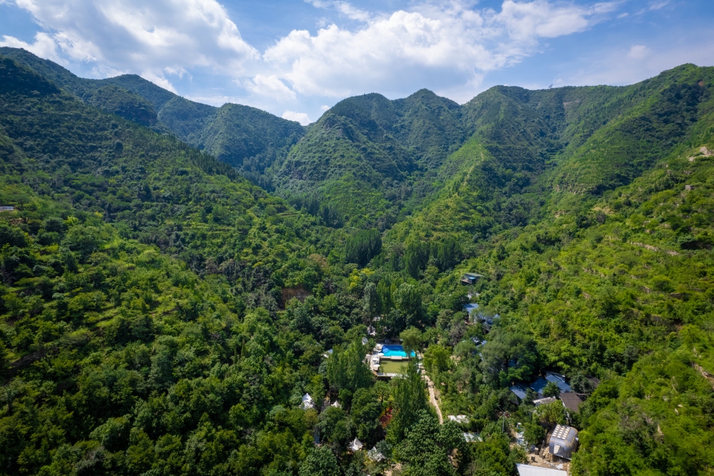 群山树林绿色远景图版权图片下载