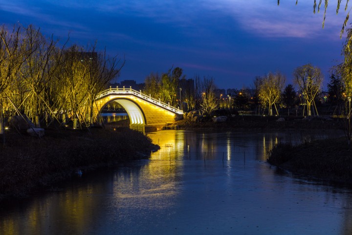 植物园湖边拱桥夜景实拍图版权图片下载