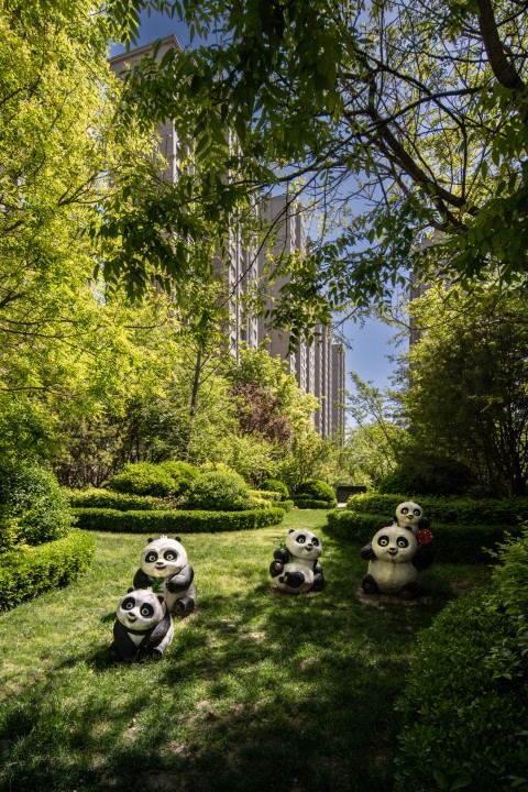绿色园林可爱熊猫小区高清图版权图片下载