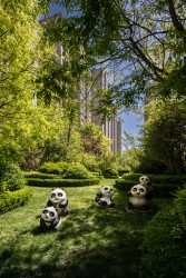 绿色园林可爱熊猫小区高清图