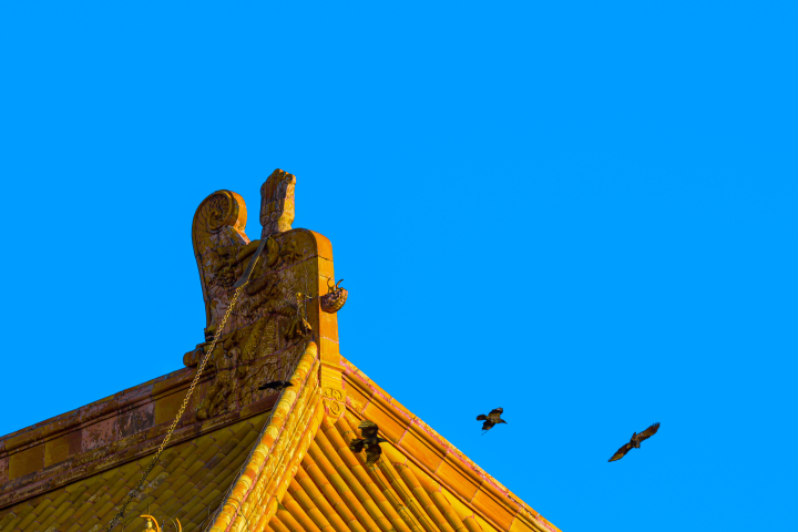 古代古风建筑房顶和飞鸟横图版权图片下载
