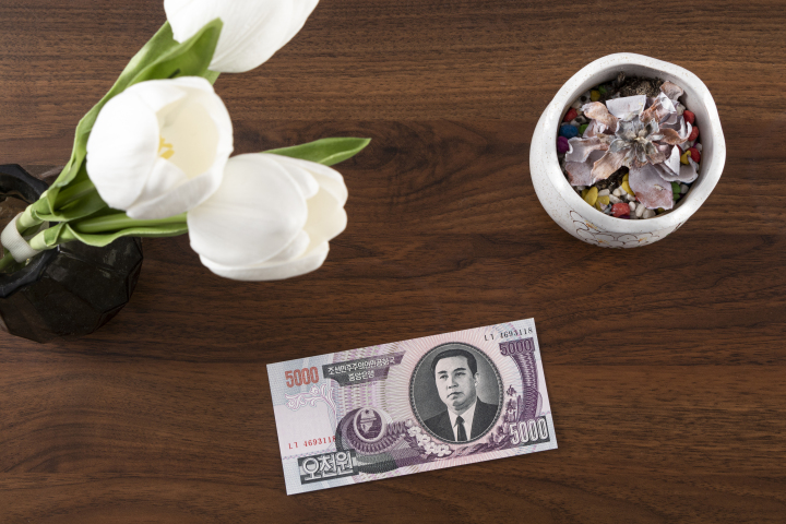 5000元外币纸币鲜花展示图版权图片下载