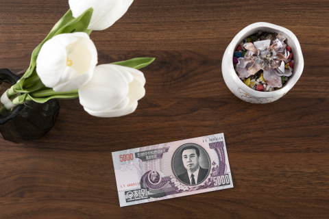 5000元外币纸币鲜花展示图