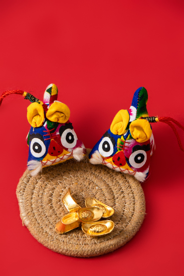 喜迎新年布老虎实拍图