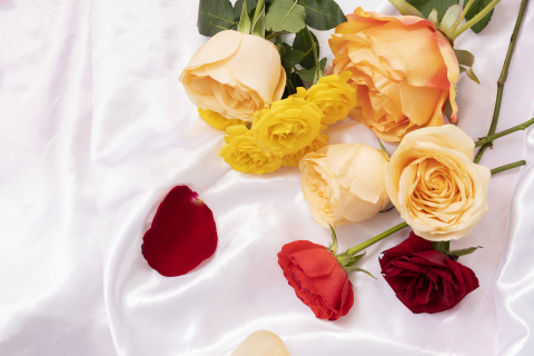 桌面上的浪漫多色鲜花图片
