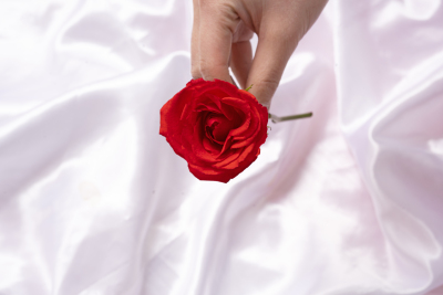 手拿一枝娇艳红色玫瑰花图片